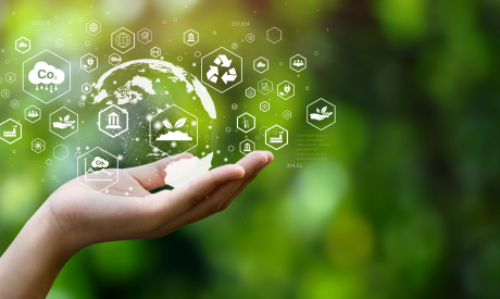 Sustainability experts xburo